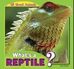 What's a Reptile?