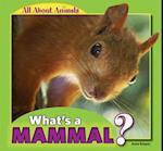 What's a Mammal?