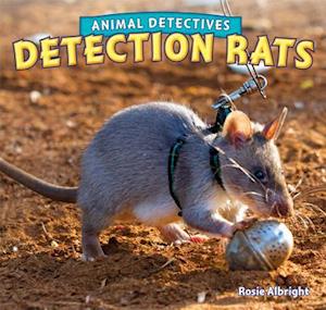 Detection Rats