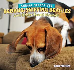 Bedbug-Sniffing Beagles and Other Scent Hounds