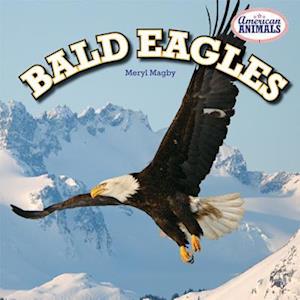 Bald Eagles