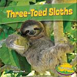 Three-Toed Sloths