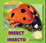 What's an Insect? / Que Es Un Insecto?