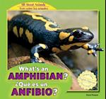 What's an Amphibian? / Que Es Un Anfibio?