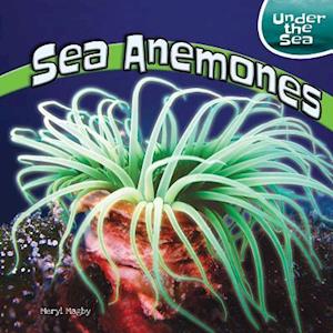 Sea Anemones