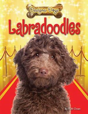 Labradoodles