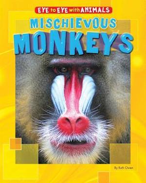 Mischievous Monkeys