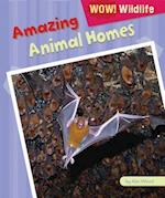 Amazing Animal Homes