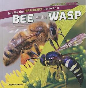 Tell Me the Difference Between a Bee and a Wasp