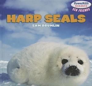 Harp Seals