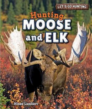 Hunting Moose and Elk