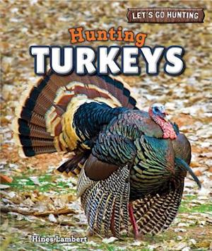 Hunting Turkeys