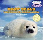 Harp Seals / Las Focas de Groenlandia