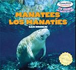 Manatees / Los Manaties