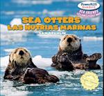 Sea Otters / Las Nutrias Marinas