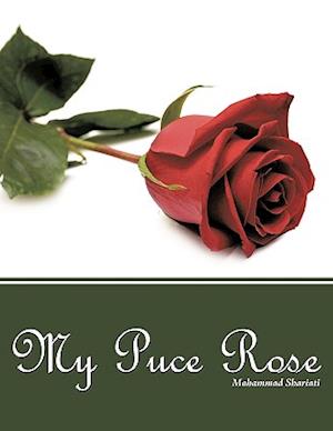 My Puce Rose