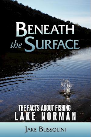 Beneath the Surface