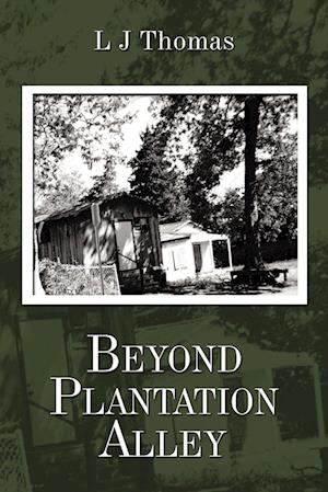 Beyond Plantation Alley