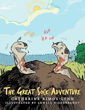 The Great Sock Adventure