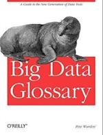 Big Data Glossary