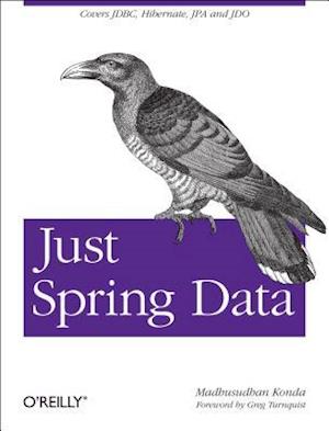 Just Spring Data Access