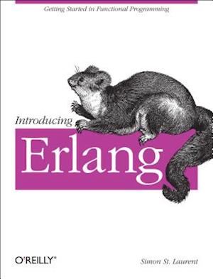 Introducing Erlang