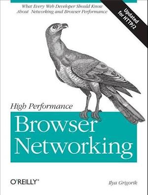 High Performance Browser Networking