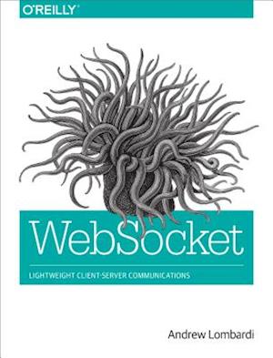 WebSocket