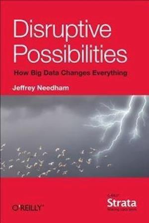 Disruptive Possibilities: How Big Data Changes Everything