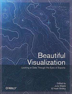 Beautiful Visualization : Looking At Data Through The Eyes Of Experts