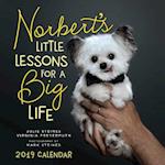 Norbert'S Little Lessons for a Big Life 2019 Square Wall Calendar