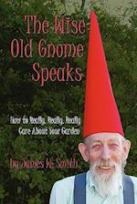 The Wise Old Gnome Speaks