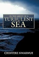 In the Midst of a Turbulent Sea