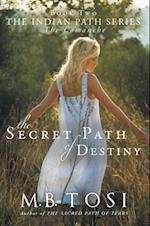 Secret Path of Destiny