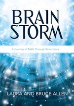 Brain Storm:  a Journey of Faith Through Brain Injury