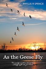 As the Geese Fly