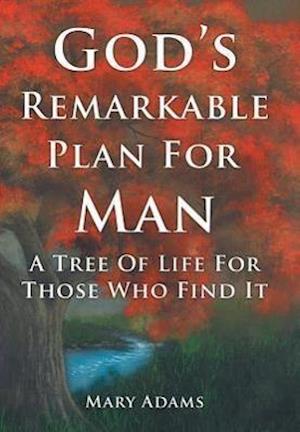 God's Remarkable Plan for Man