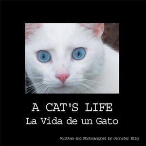 Cat's Life