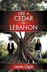 Like a Cedar in Lebanon