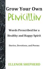 Grow Your Own Penicillin