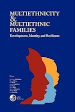 Multiethnicity and Multiethnic Families