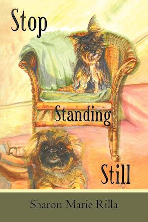 Stop Standing Still