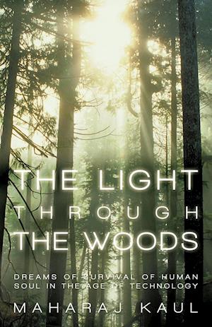 The Light through the Woods