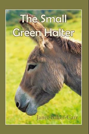 Small Green Halter