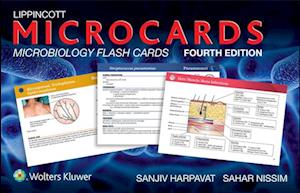 Lippincott Microcards: Microbiology Flash Cards