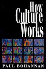 How Culture Works