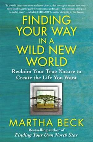 Finding Your Way in a Wild New World