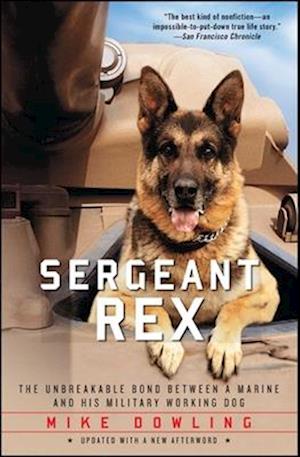 Sergeant Rex