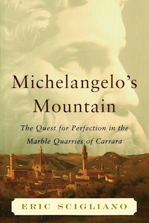 Michelangelo's Mountain