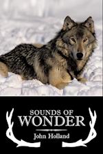 Sounds of Wonder